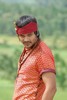 Bindaas Moive - Manchu Manoj Kumar, Sheena Shahabadi - 28 of 34